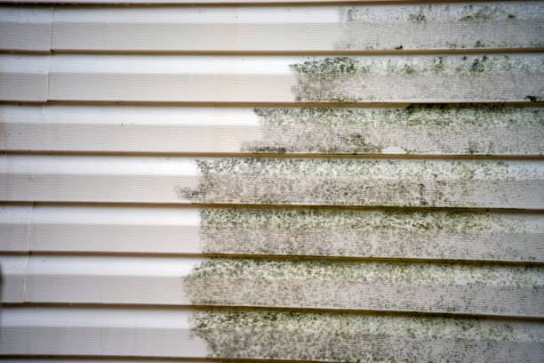 Property Management Cleanouts in Colby, WI